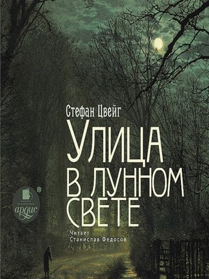cover image of Улица в лунном свете
